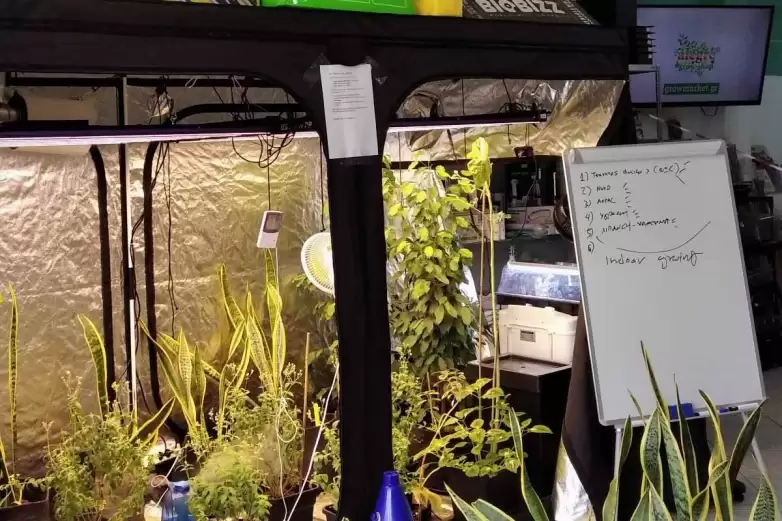 Aποστολές κατ' οίκον στην Αθήνα